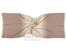 IT2-145-3-420 �..jpg