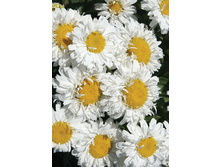 160,1���. ������� ����!(�������� ���� �� 1 ��., ����������� ����� 1��.).jpg