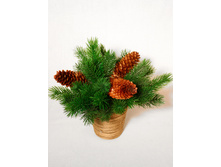 ���014 ���������� �������