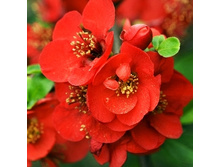 136���. ���� ������������ (���������) �������.jpg