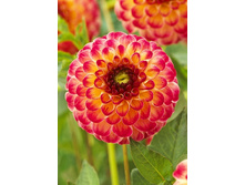 86,6���. �������� �����(�������� ���� �� 1 ��., ����������� ����� 1��.)���15.jpg