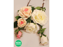 401/0179� ����� ����