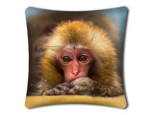 ������� �������� (����������)+ html 2a75f9b2.jpg