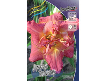 246,4���. �������� ����� ������(�������� ���� �� 1 ��., ����������� ����� 1��.).jpg