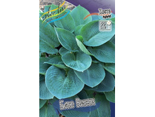 160,1���. ����� ��� ����(�������� ���� �� 1 ��., ����������� ����� 1��.).jpg