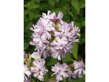 122���. ��������� ����� �����(�������� ���� �� 1 ��., ����������� ����� 1��.)���16.jpg