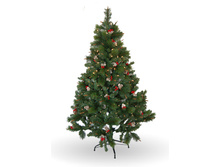 ���� ���������� � ������� � �������,120 �� � ���������.jpg