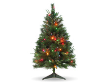 ���� ���������� � ������� ���������, 120��.jpg