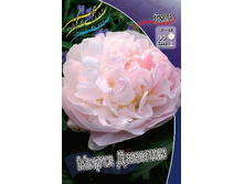 234,8���. ���� ����� �������(�������� ���� �� 1 ��., ����������� ����� 1��.).jpg