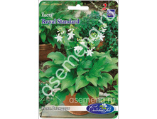 �����	���� ��������	Royal Standard