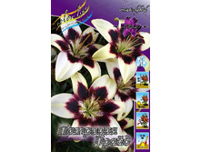 33,08���. ����� �������� �����(�������� ���� �� 5 ��., ����������� ����� 1��.).jpg