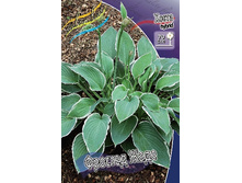 81,7���. ����� ������� ����(�������� ���� �� 2 ��., ����������� ����� 1��.).jpg