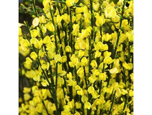 117���. �������� ������.jpg