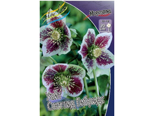 246,4���. �������� ���� ������� �������(�������� ���� �� 1 ��., ����������� ����� 1��.).jpg