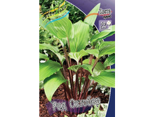 105,4���. ����� ��� �������(�������� ���� �� 1 ��., ����������� ����� 1��.).jpg