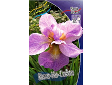 86,7���. ���� ��������� ����-��-�����(�������� ���� �� 2 ��., ����������� ����� 1��.).jpg