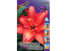 45,18���. ����� ��������� �������(�������� ���� �� 5 ��., ����������� ����� 1��.).jpg