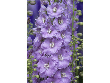 163,4���. ���������� ������� ������(�������� ���� �� 1 ��., ����������� ����� 1��.).jpg