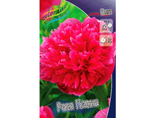 223,1���. ���� ���� �����(�������� ���� �� 1 ��., ����������� ����� 1��.).jpg