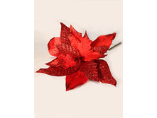 11/0111� ���������