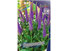 113,7���. �������� �����������(�������� ���� �� 1 ��., ����������� ����� 1��.).jpg