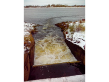 IMG 20151011 095601.jpg