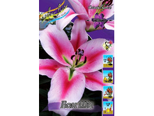 30,54���. ����� ��� ��(�������� ���� �� 7 ��., ����������� ����� 1��.).jpg