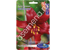 ��� ������.jpg