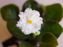 ��-����� ��������