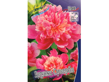 176,7���. ���� ������ �������(�������� ���� �� 1 ��., ����������� ����� 1��.).jpg