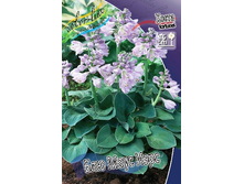 105,4���. ����� ��� ���� ����(�������� ���� �� 1 ��., ����������� ����� 1��.).jpg