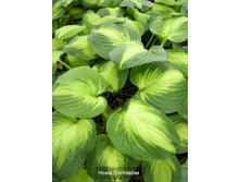 263���. ����� ���������(�������� ���� �� 1 ��., ����������� ����� 1��.)���16.jpg