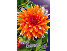 69,1���. �������� ����� ���������(�������� ���� �� 1 ��., ����������� ����� 1��.).jpg