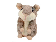 ������� "��������� �����-����������" �=15��