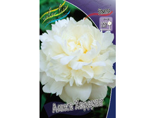 287,8���. ���� ����� �������(�������� ���� �� 1 ��., ����������� ����� 1��.).jpg