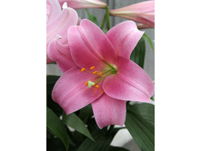 28,76���. ����� ������� ����(�������� ���� �� 5 ��., ����������� ����� 1��.)���16.jpg