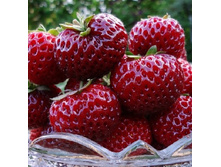 64,43���. ��������� ������� ���� ���� �������(���������� ������ ������ ���������� �� 3 ��.)���15.jpg