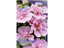 163,4���. ������ ���� �������(�������� ���� �� 1 ��., ����������� ����� 1��.).jpg