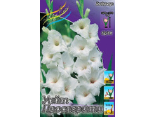 10,63���. ��������� ���� ����������(���������� ������ ������ ���������� �� 7 ��.).jpg