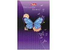 ������� �7 48�. �� ������� �������, 3-� ������� ���� 7,02.jpg