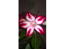 WP 20151001 12 41 59 Pro.jpg