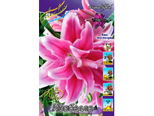 59���. ����� ROSELILY ��������(�������� ���� �� 5 ��., ����������� ����� 1��.).jpg