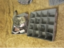 Fancy 8b6cdceea2a6282ccf1786f2ab8c65af.jpg