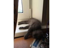 2015-09-20 15.38.49.jpg