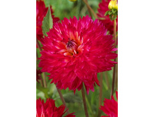 82���. �������� ��������(�������� ���� �� 1 ��., ����������� ����� 1��.)���15.jpg