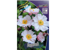 102,1���. ������� �������(�������� ���� �� 1 ��., ����������� ����� 1��.).jpg