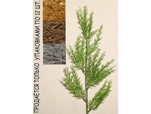 11/1557� �����