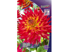 84,8���. �������� ����(�������� ���� �� 1 ��., ����������� ����� 1��.).jpg