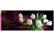 10 Katalog-LATUAGE 9.jpg