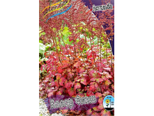 122���. �������� ����� ���� �����(�������� ���� �� 1 ��., ����������� ����� 1��.).jpg